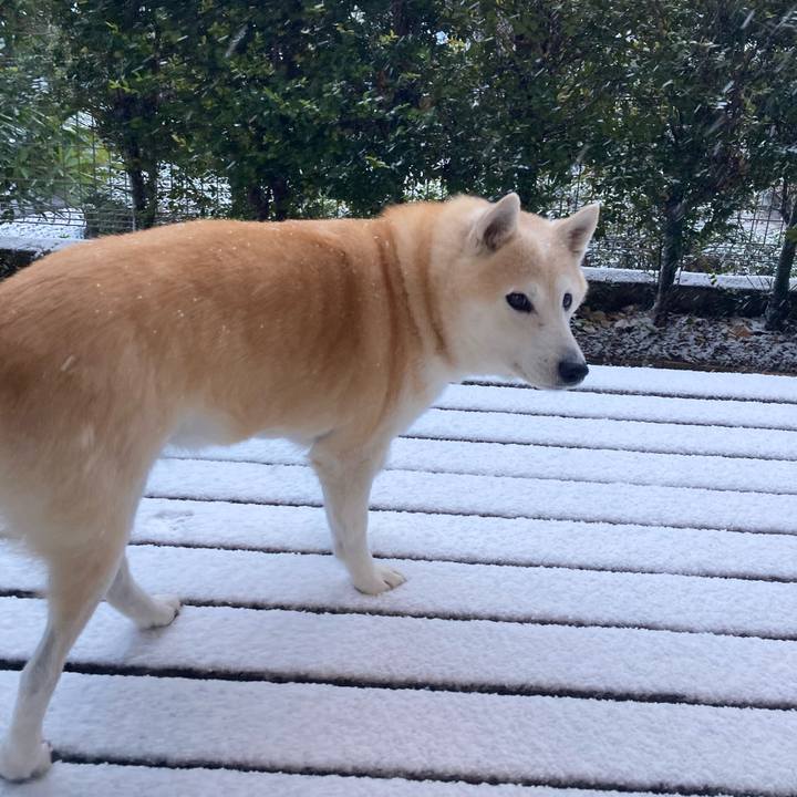 E79cbae2 e658 4420 80e9 a4236c204d6a 1698942578669