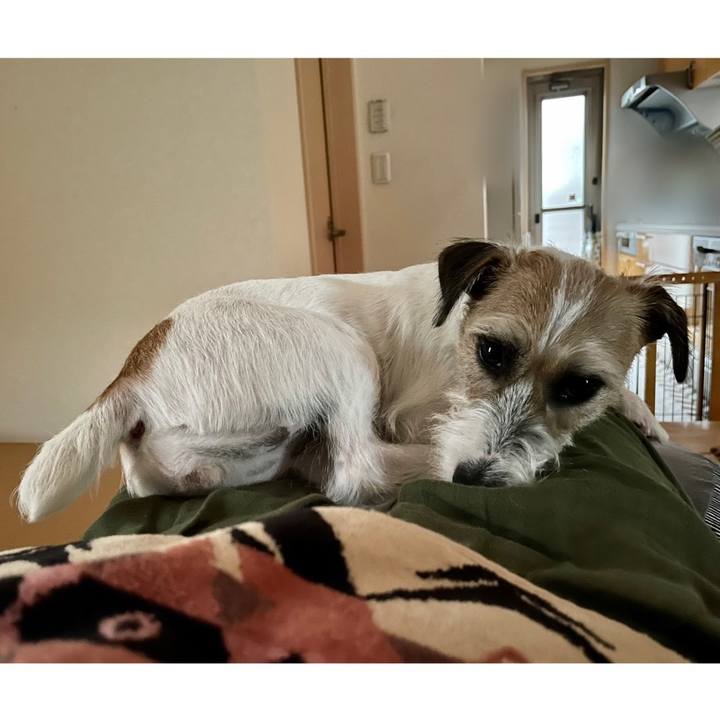 E79cd1d8 1a7b 4a3f 8d23 697df66f0d99 1629025148836