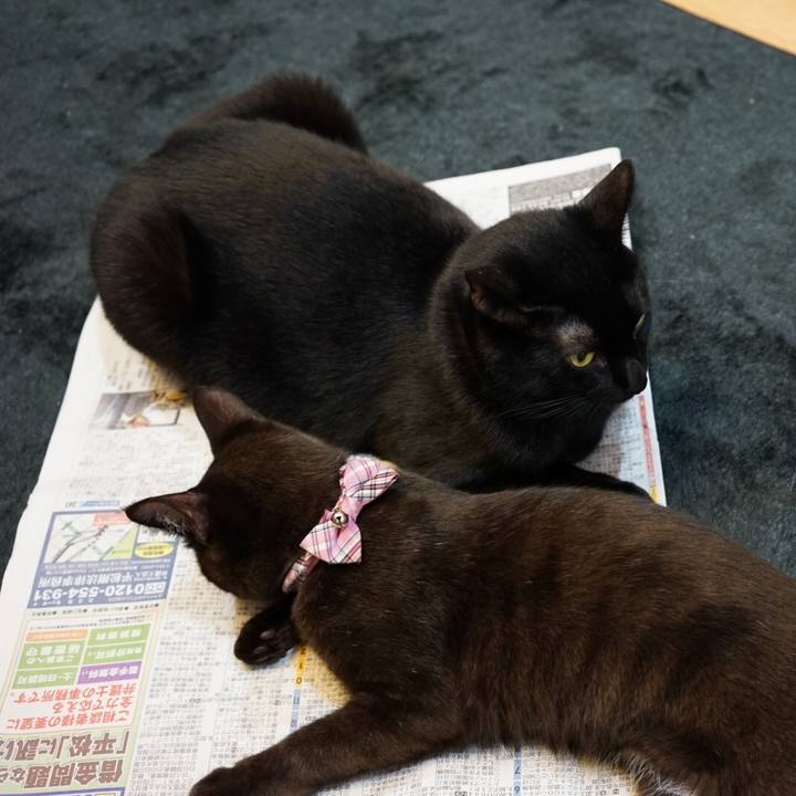 E79cedc1 30f2 4feb ace3 cf61263f77af 1509978070484