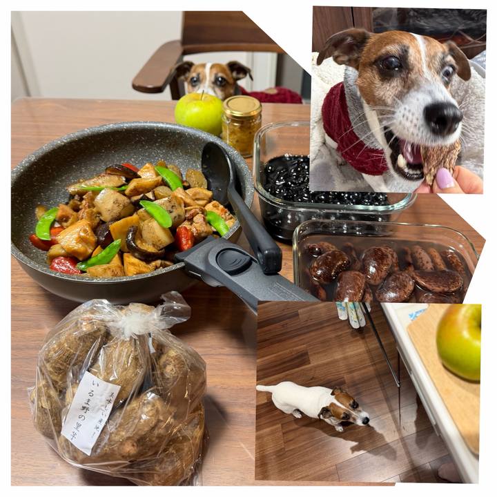 E79d4726 adaa 45a9 8713 5b4ddbf547ae 1766734187148