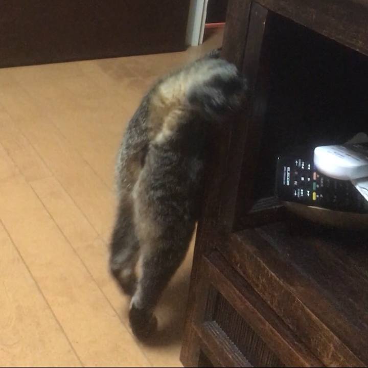 E79d48e1 4b61 46ae b6d0 cd85bcb1151c 1598158848699