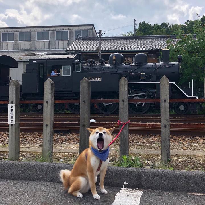 E79d53e2 d28f 46ee 9316 a962cfb46af1 1530173425571