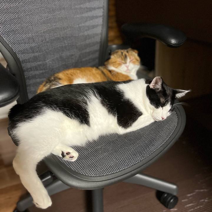 E79d6868 383e 4685 a113 895d8afa4996 1725714916980