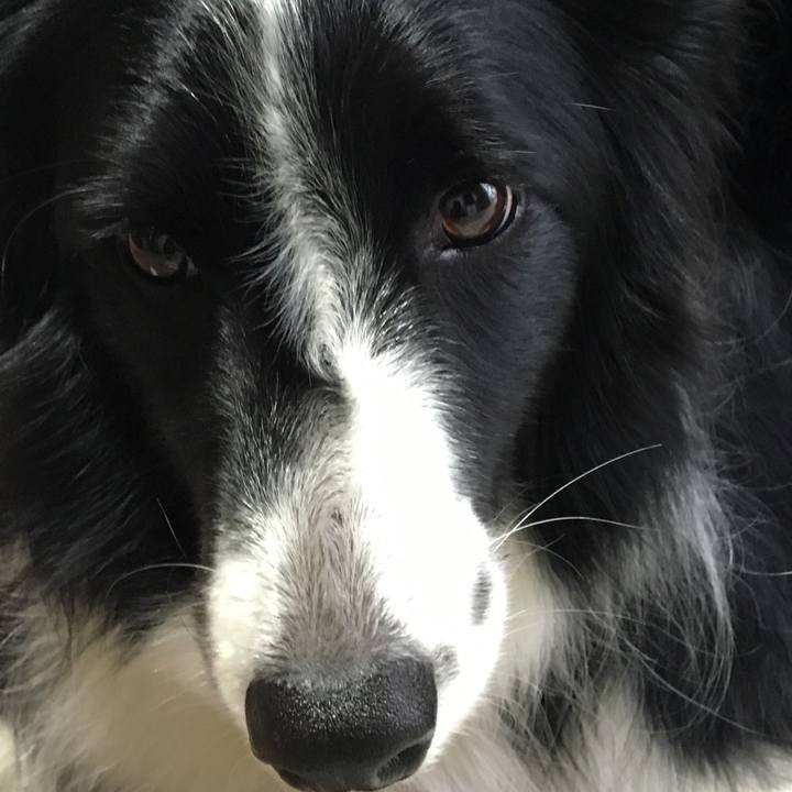 E79d74c8 aa4f 42a8 9c7d 94bc2802f210 1511670283418