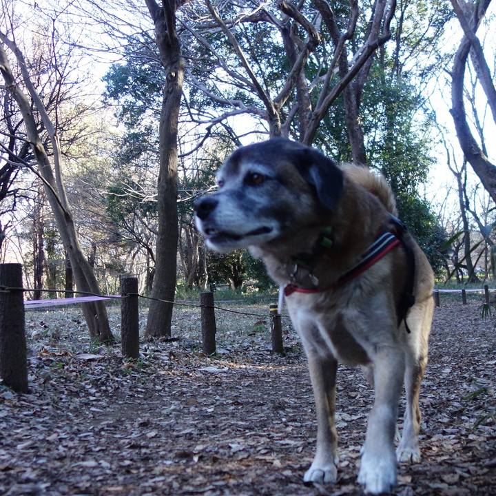 E79dcb86 8e69 4bec aaf7 b37a8fedeae5 1626224353948