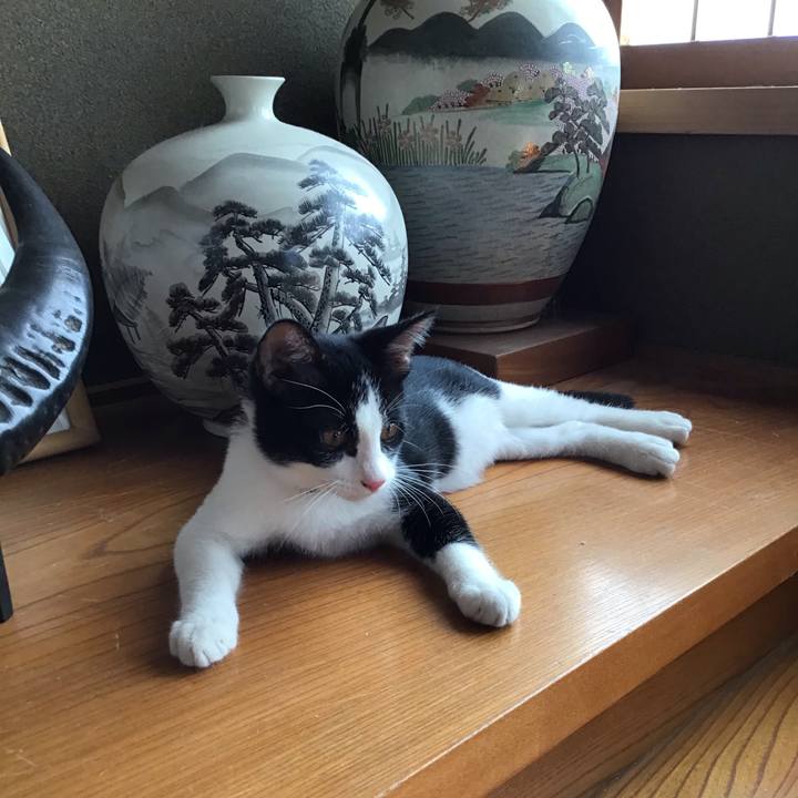 E79dd004 ae7b 4b07 91ea 7b2035f71013 1628557878841