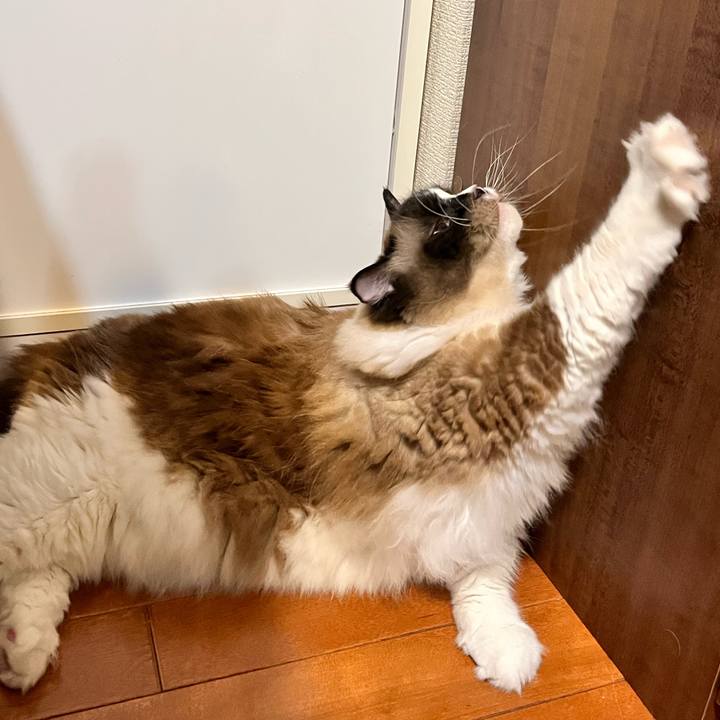 E79e3b1c fb9d 42d0 8ce5 2b89b16e75b5 1659352634792