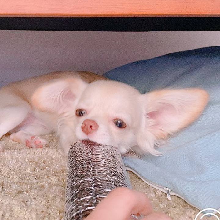 E79e4689 7f8b 4ac4 bd17 a83496078ff9 1600065574884