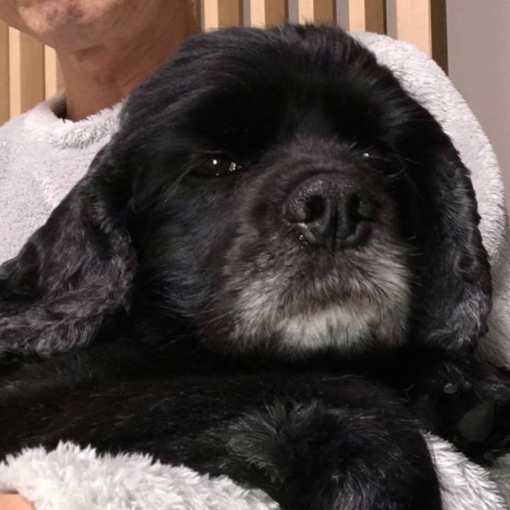 E79e472b 43d8 4d12 a298 b3b4cf3331a7 1547553346579