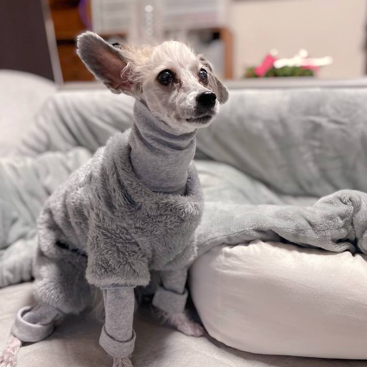 E79e745b fd4d 4f15 8fd8 7bc40ff92ed9 1765964476383