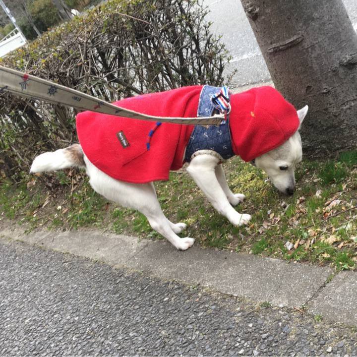 E79e8abd f913 4c5f ba1b 80d89eeb8afe 1772666308542