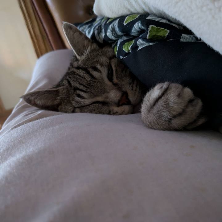 E79ea062 45d9 41c1 9ef5 19f908d918ac 1731580280982