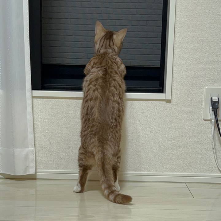 E79ea3ad df83 4406 adc0 7217cf414deb 1688469674561