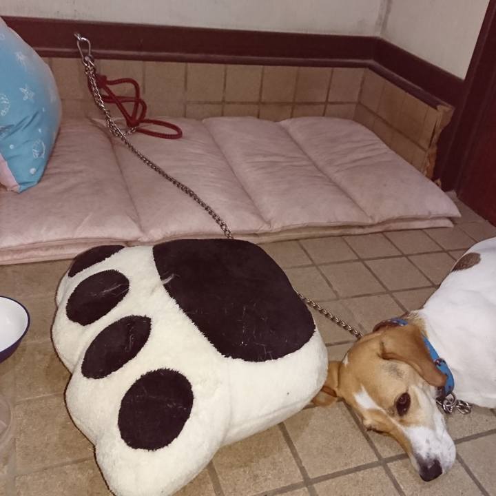 E79f2c68 40d8 46d6 b009 59f7d681354c 1564060350987