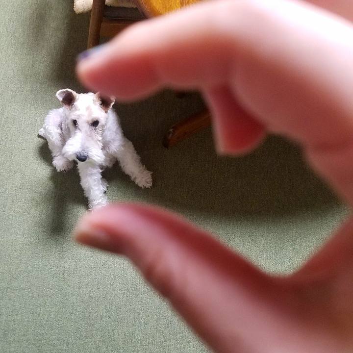 E79fc09b fd23 4325 965b 076d90f3553f 1544712373903