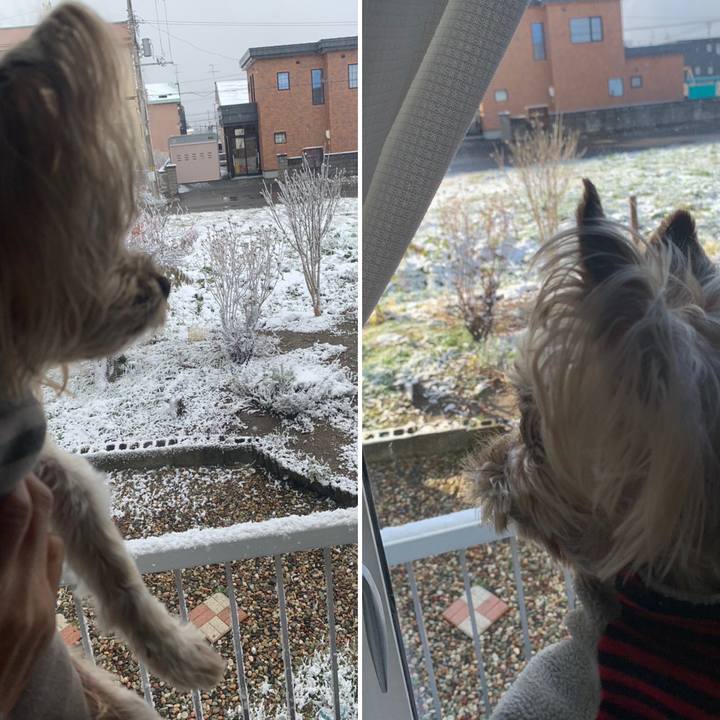 E7a0054a 2836 4b5c be1b 1266fa15af57 1699694151121