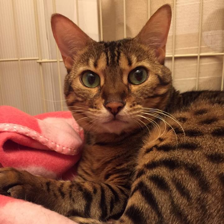 E7a00d0a 1d1a 4119 b54a dabc67b5cc78 1537657829527