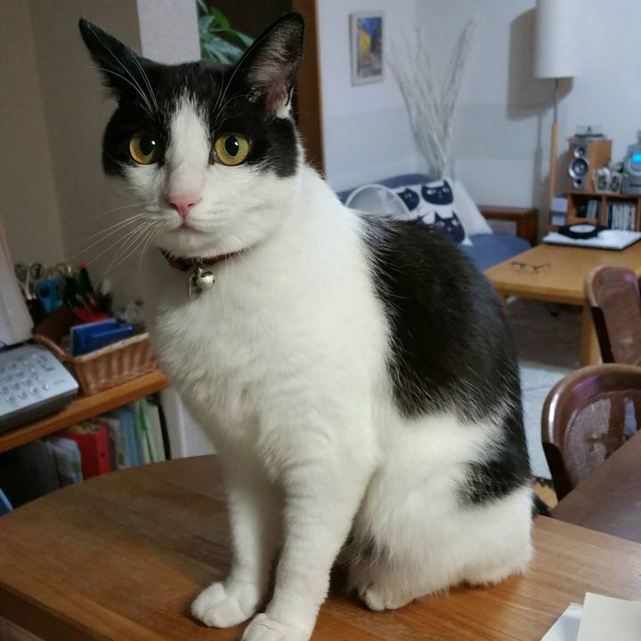 E7a00dd6 36fb 4a7d ad26 a7af21eda755 1533466884052