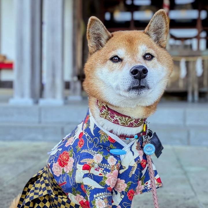 E7a02f75 f6d4 4f03 9a0b 73a9039fc1df 1766118181056