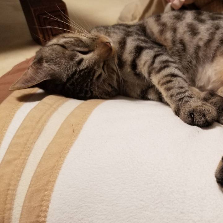 E7a049a3 b4b1 4dc6 955c e55c03c5a419 1677667702327