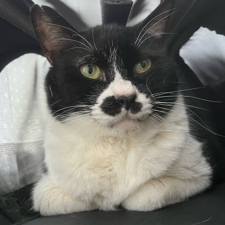 E7a05173 990f 4d45 8e0e 80c72424ea40 1712047640423