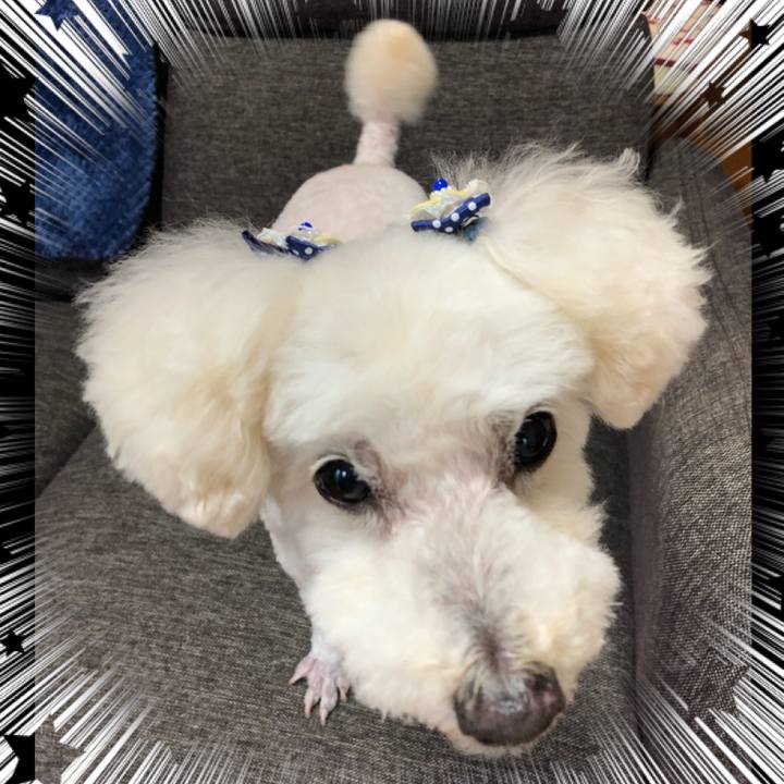 E7a060cb b6cb 43df 933d f89fd5730456 1529619386687