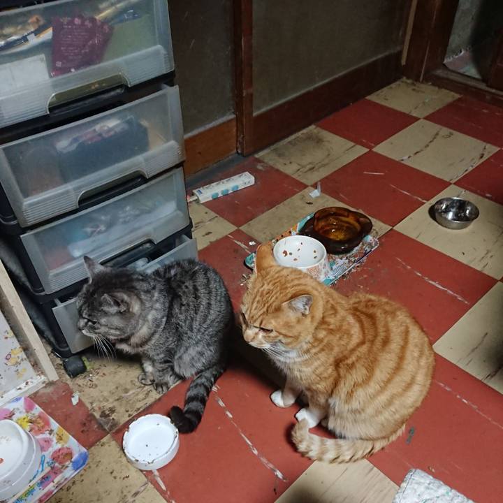 E7a074ca a78e 431b bf6c b3e1915cae81 1582142446331