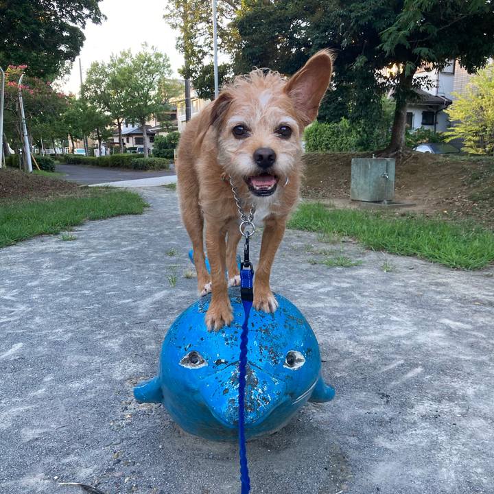 E7a07bb5 ccba 4532 9384 6be335b84506 1693522894502