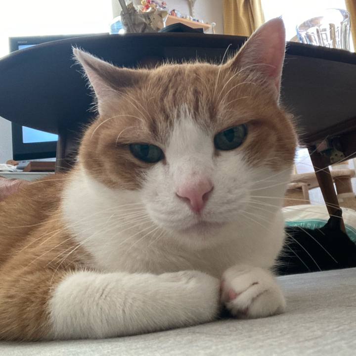 E7a08e1c d13a 4f9b 865e 5cea3e57ecc7 1756951557199