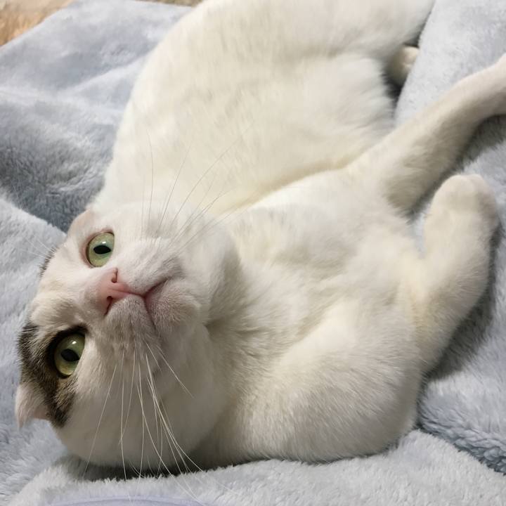 E7a0952d 9b27 48cb 9967 32b70b74dc49 1516966400876