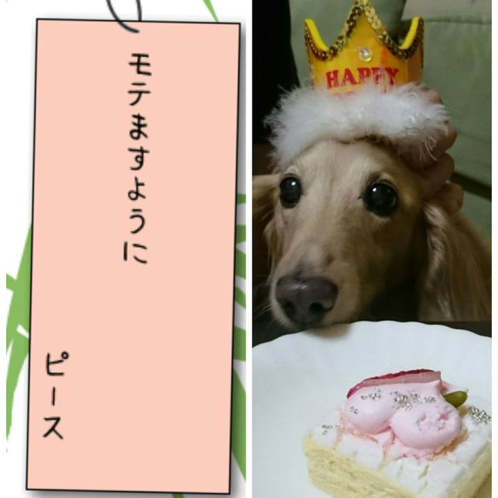 E7a0b69a 7c81 4558 bee6 9ff23c27b611 1565255992361