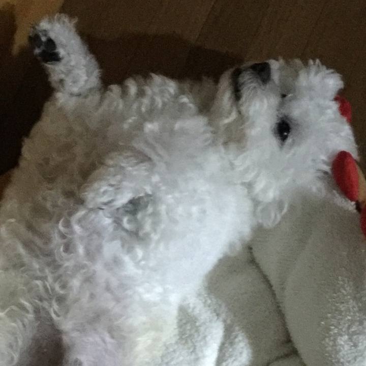 E7a0c04a 9b0c 495e ae5d ad9752a13ffd 1532871534623