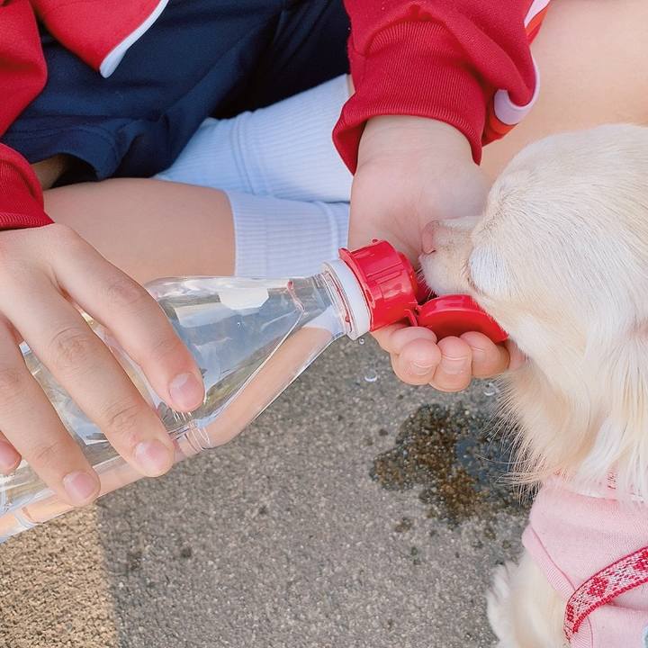 E7a0e162 e385 4c5d 9aac 844597cf8048 1619774013193