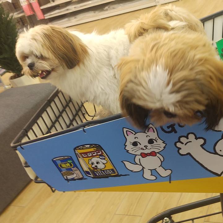 E7a0e5fb e122 44e2 a7a7 c435605f554f 1574570705399