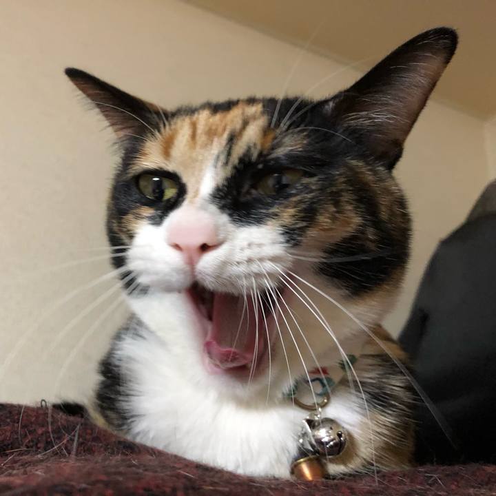 E7a0f5ce e1d9 49be a88d 7284a6e8e666 1583148075246