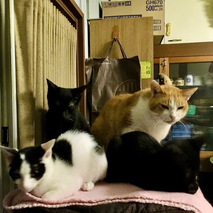 E7a115b5 37de 4edf ae71 9c94309f6bba 1629329197314