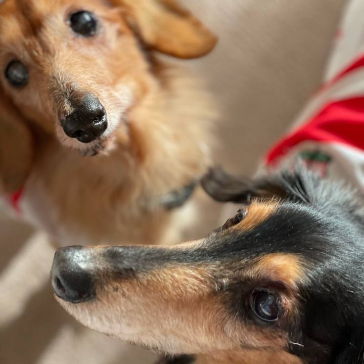 E7a1930d 457d 47a5 b53a 61d95b683ff4 1676856115670