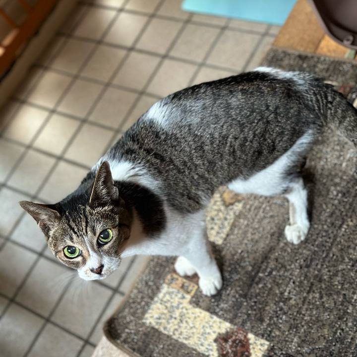 E7a1969d 1828 4927 808d aea6552400d7 1676080328631