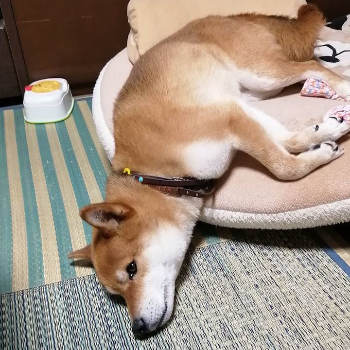 E7a1b89e b3a9 4f4a 8703 5188f32addb3 1590324134471