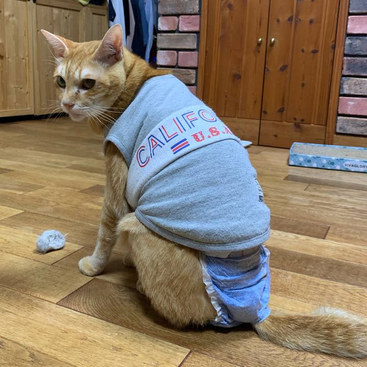 E7a1c055 fad6 46f2 b1c9 ec820279161a 1632223563547