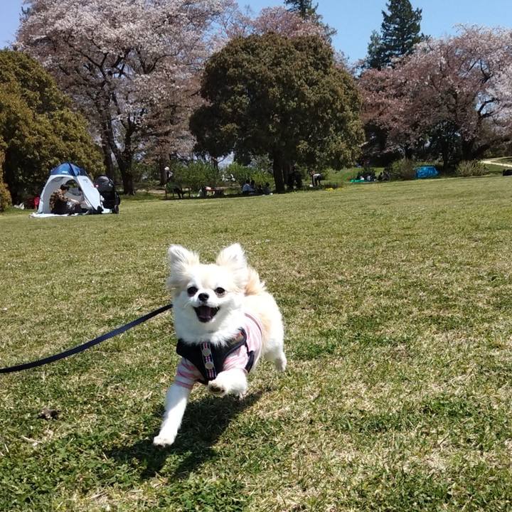 E7a1d839 6788 42af 8300 92f57f75584c 1649588463804