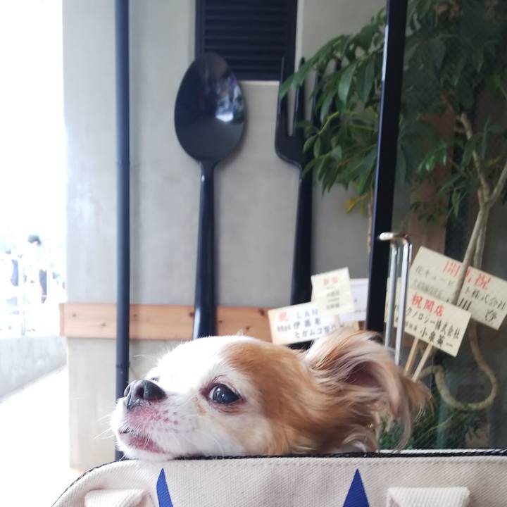 E7a213f5 d547 4929 ac4a fc977b996a5f 1593237050248