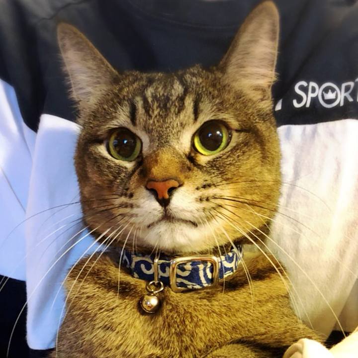 E7a237b4 f17e 43a9 b1a9 437e634ec61c 1549176053783