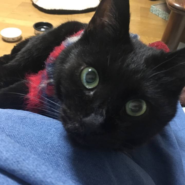 E7a25ae2 ea2a 4c76 80f9 58a13627afa0 1542375242543