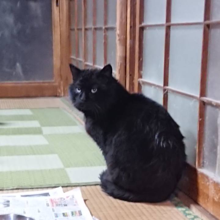 E7a25c51 d2d9 4c8d 9380 70d28a9658ea 1615804798427