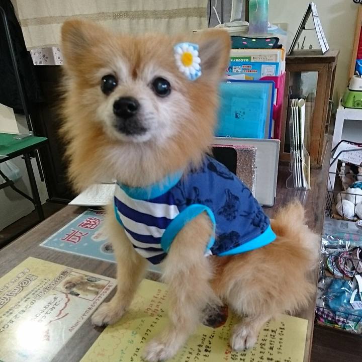 E7a26520 b91b 4fc9 8a44 d2b5c3f562f6 1566945617893