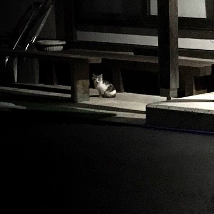 E7a284ad aa13 4a79 8c62 90514438e8e5 1517205889631