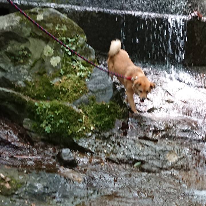 E7a29e88 e484 4f09 ae55 2999b22d8fe3 1561371408149