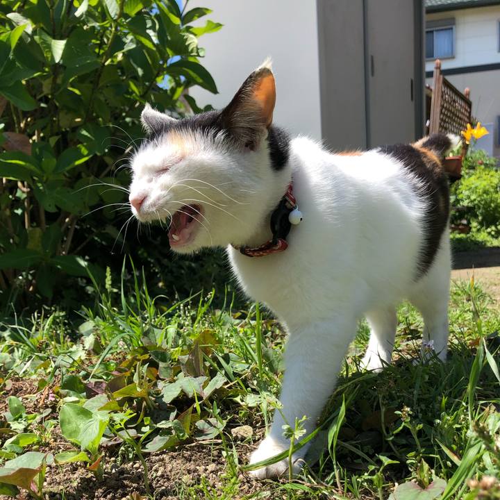 E7a2ab37 1bf6 4681 b0ad 2c5136c5391b 1622378360305