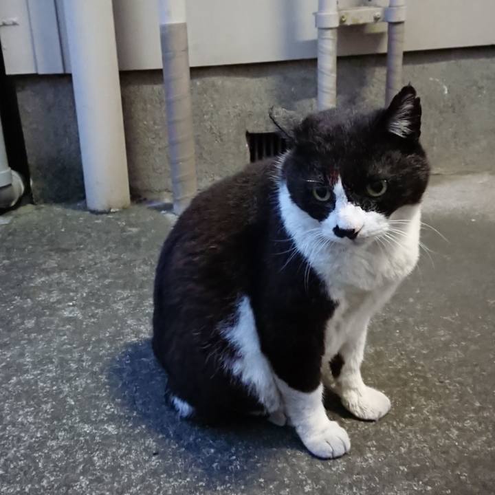 E7a2c1a7 5b84 40d1 8c23 3be8be37b5bf 1653820108133